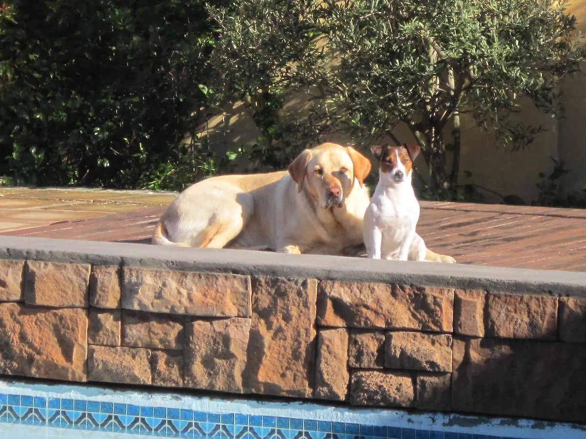 La Roche Guest House Cape Town South Africa